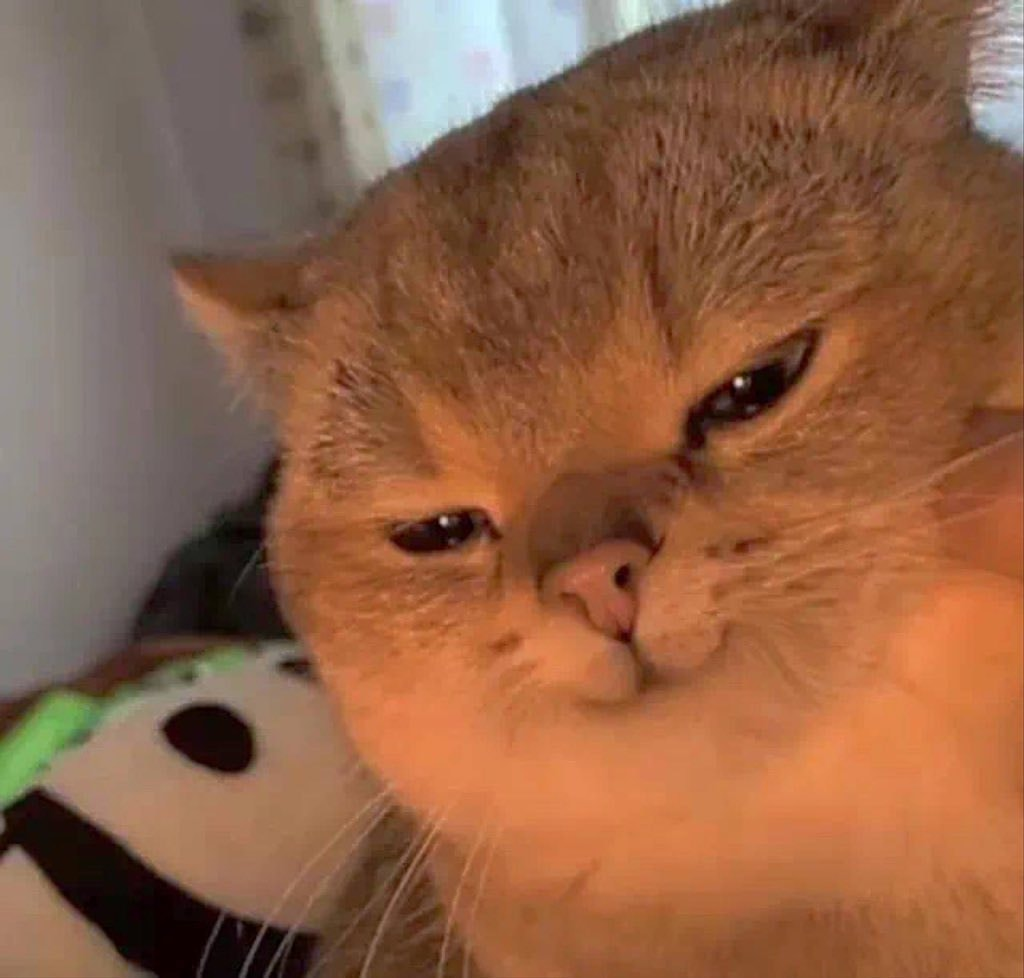 หยุมๆ