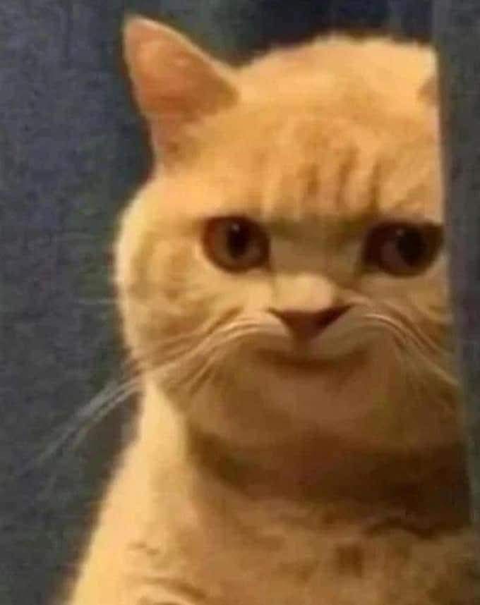 ตุ๊บตั๊บ